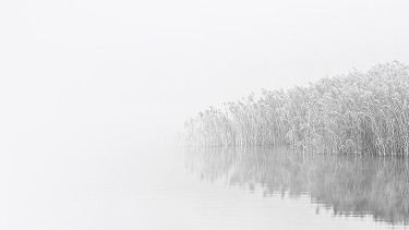 Photo of nature